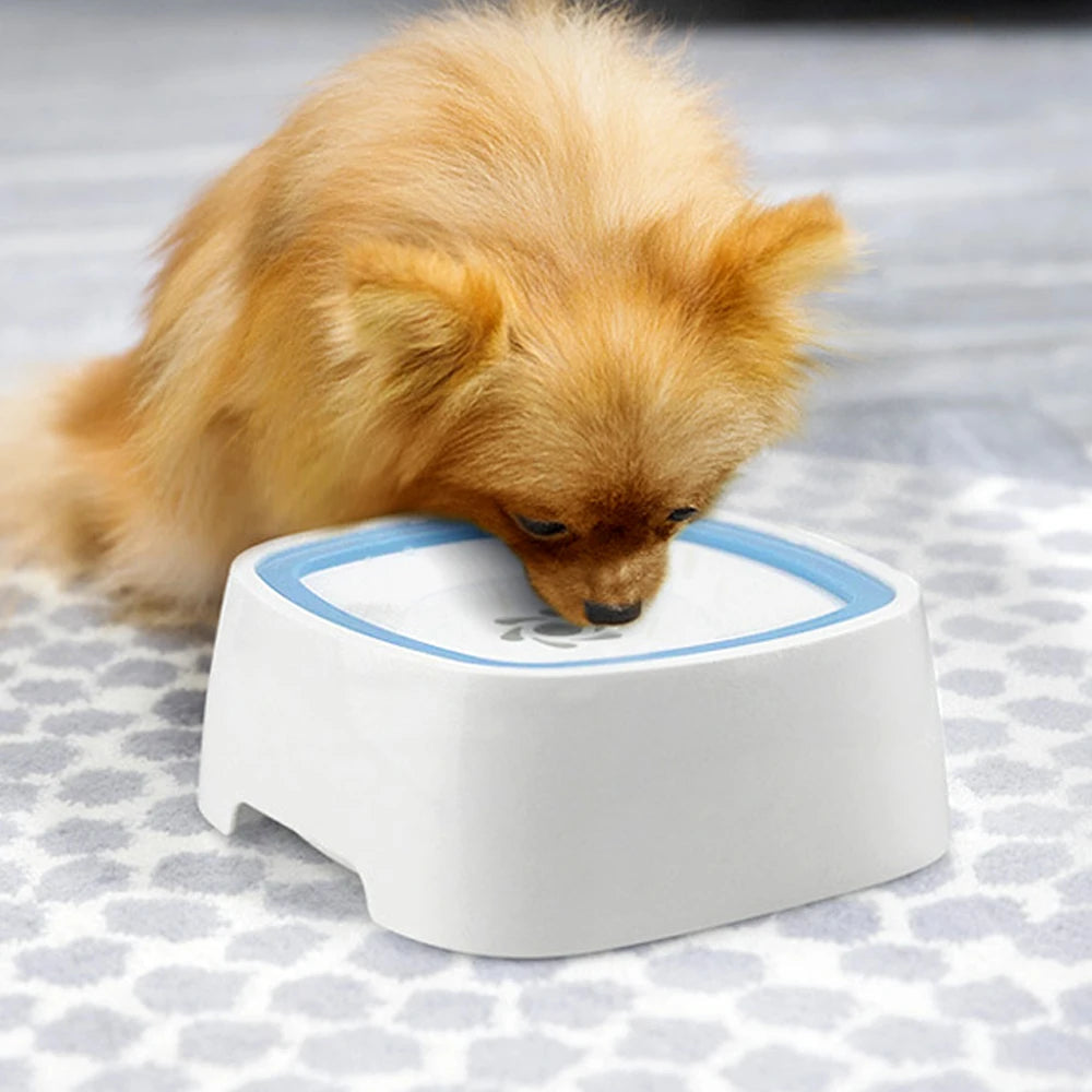 Zero Splash Dog/Cat Water Bowl
